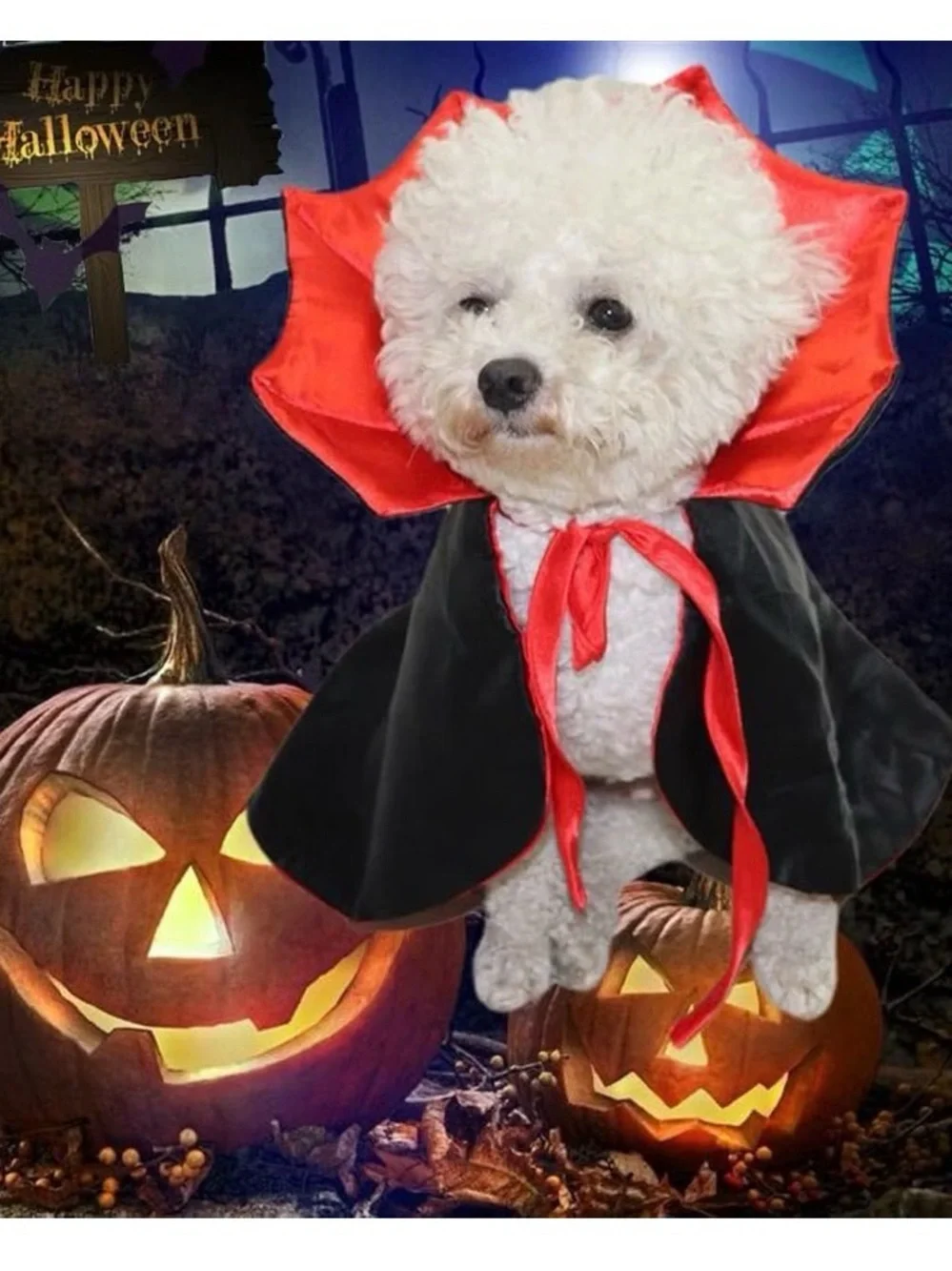 Pet Halloween Bat & Cape Costume Set for Dogs - Black and Red large
